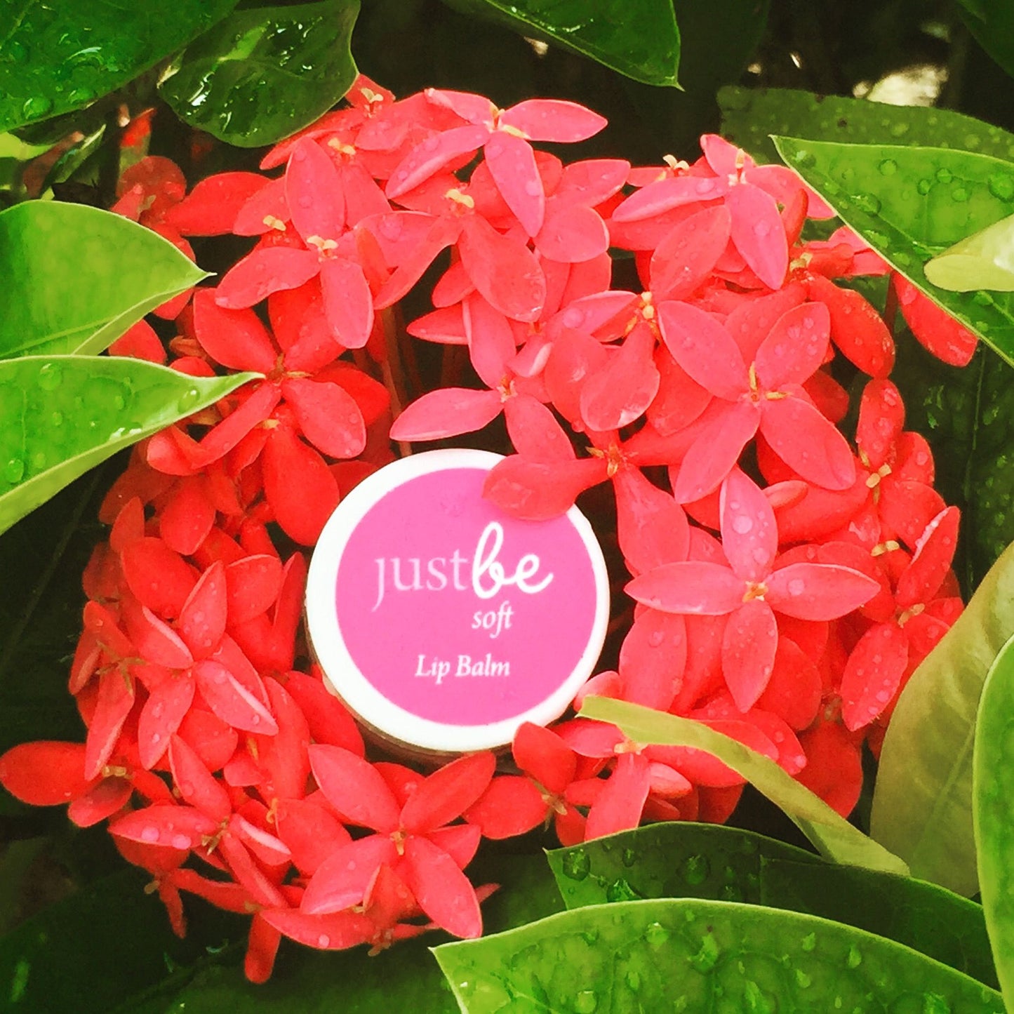 JustBe Botanicals Aromatherapy Lip Balm Vegan Friendly in tropical Pangkor Laut